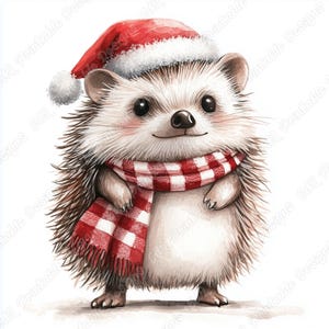 20 Clip Art de ouriço fofo de Natal, imagem de animal de Papai Noel em aquarela para impressão, download digital de ouriço bebê, artesanato em papel para scrapbooking JPG