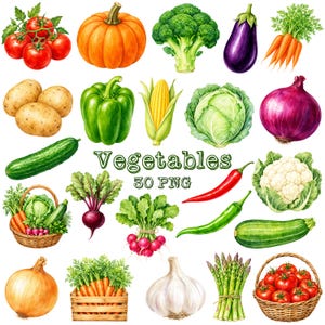 May include: A collection of watercolor illustrations featuring various vegetables including tomatoes, pumpkin, broccoli, eggplant, carrots, potatoes, bell pepper, corn, cabbage, onion, cucumber, beets, radishes, chili peppers, cauliflower, zucchini, garlic, and asparagus.
