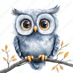 20 Watercolor Cute Owl Clip Art, Woodland Animal Printable Images, Baby Shower Digital Download, Nursery Scrapbooking Paper Craft JPG Bundle