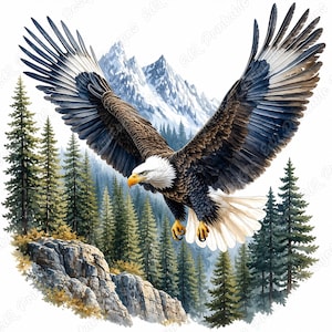 Bald Eagle Clipart, Watercolor Bird of Prey Images, American Wild Animal Illustration (Digital Download)