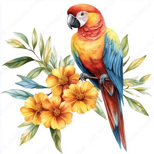 20 Clip Art di pappagalli e fiori, Immagini stampabili di uccelli tropicali, Download digitale di uccelli esotici, Set di JPG di carta per scrapbooking con pappagalli floreali
