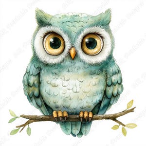 20 Watercolor Cute Owl Clip Art, Woodland Animal Printable Images, Baby Shower Digital Download, Nursery Scrapbooking Paper Craft JPG Bundle