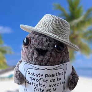 Puede incluir: Una figura de patata tejida con un sombrero de paja y un letrero. El letrero dice "Patate positive 'Profite de ta Retraite, avec la frite et le sourire'" contra un fondo borroso de playa.