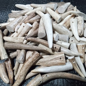 25, 50, 100 Pcs / unit Predrilled Deer Antler Tip Pendants