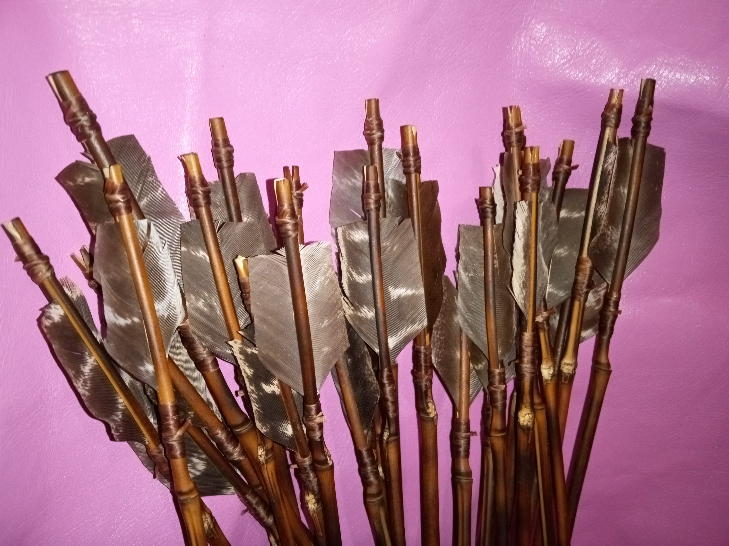 5 Pcs Unit River Cane Mini Arrows Arrows W/1