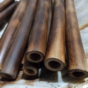 10 Pcs River Cane Pea Shooter Barrels