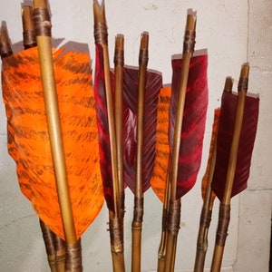 May include: A group of arrows with orange and red fletching, tied with brown string, and wooden shafts.