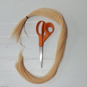 May include: A bundle of light blonde hair with a brown hair tie, next to a pair of orange-handled scissors. The scissors are open, with the blades pointing down. The hair is arranged in a curved shape.
