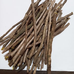 5 Oz Yellowroot Sticks naturally Air Dried (4"-6" per stick long) "Read Description"