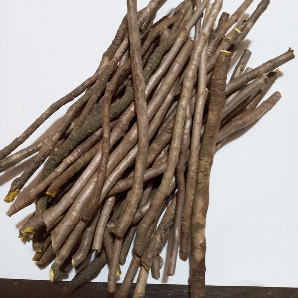5 Oz Yellowroot Sticks (4"-6" per stick long)