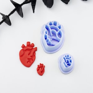 May include: Four heart-shaped cookie cutters, two are red and two are light blue. The red cutters are solid, while the blue cutters have a detailed anatomical design.