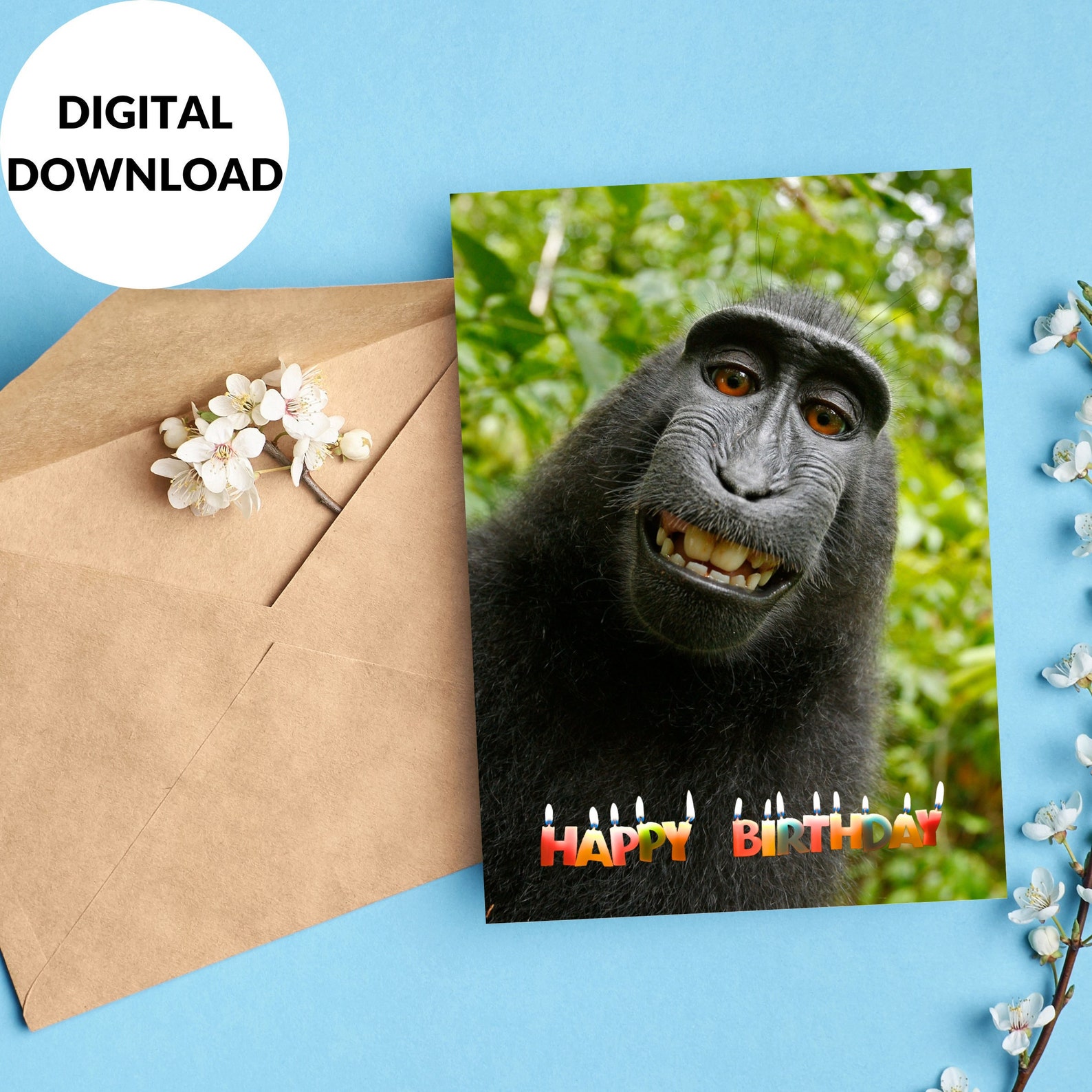 Printable Funny Birthday Card Greeting Card Printable Funny Digital