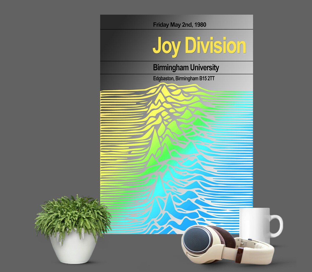 Joy Division 1980 Their Final Concert Multisize Prints and Posters UK