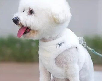 Small Dog Harness, Dog Harness and Lead Set, Puppy Harness, Dog Winter Harness, Cute Dog Accessories, Dog Accessories, Puppy Training
