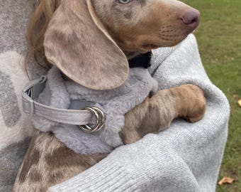 Fluffy Harness for Small Animals, Cat Harness, Kitten Harness, Rabbit Harness, Dog Harness, Puppy Harness, Harness, Escape Proof Cat Harness