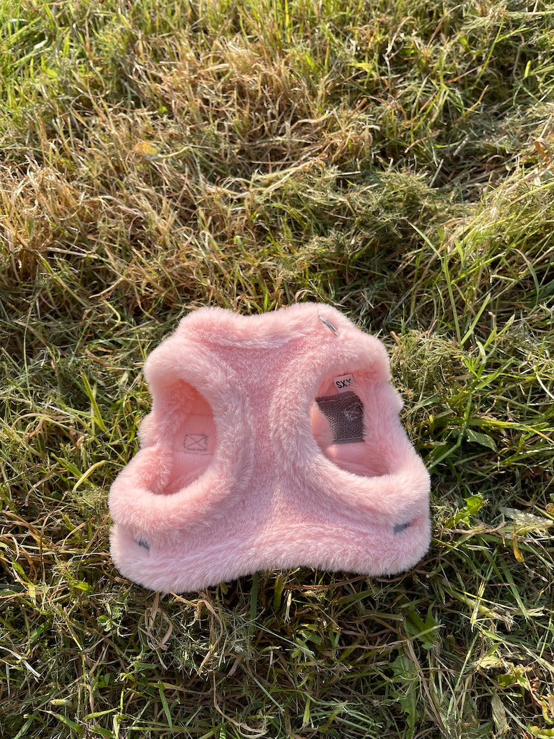 May include: Pink faux fur dog harness with the word "SKY" on the back.
