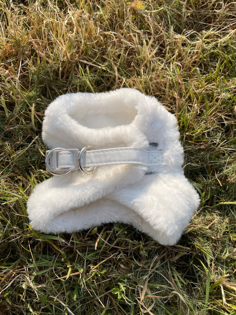 May include: White faux fur dog harness with a silver buckle and a white strap.