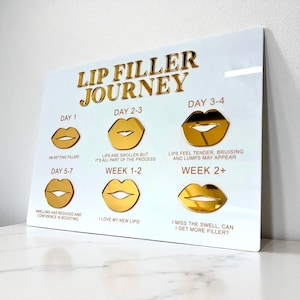 Lip Filler Journey 3D Acrylic Sign | Aesthetics Display Signage | Beauty Clinic Wall Decor | Salon Information Sign | A3 Size
