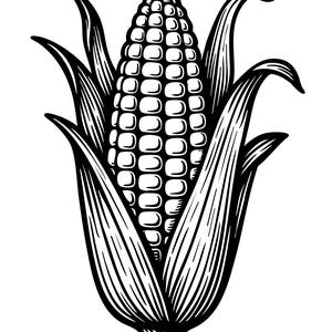Corn svg – vintage botanical corn illustration for Cricut and laser engraving – dxf svg png digital download