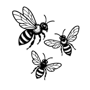 Könnte beinhalten: Drei schwarz-weiße Illustrationen von Bienen. Die Bienen sind mit detaillierten Flügeln, gestreiften Körpern und Antennen dargestellt. Die Bienen befinden sich in verschiedenen Positionen, einige scheinen im Flug zu sein.