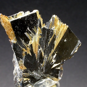 Pode incluir: Close-up de um espécime mineral com cristais pretos e retangulares e estruturas douradas em forma de agulha radiante. O mineral tem uma aparência reflexiva e vítrea sobre um fundo escuro.