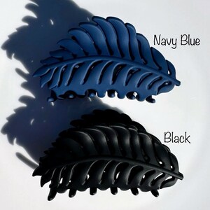 Navy Blue + Black