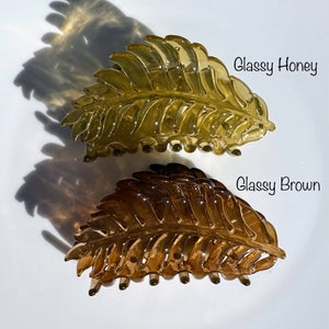 Glassy Honey + Glassy Brown