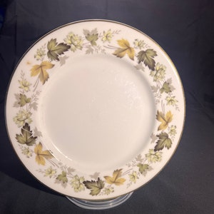 Vintage Royal Doulton Larchmont TC1019  plates made in England