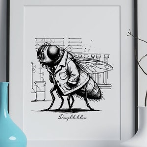 以下が含まれることがあります： 白衣を着たハエが実験室の前に立っている白黒のイラスト。ハエの下に「Drosophila labionis」という文字が書かれている。