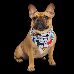 Dibujos animados de perros del orgullo / Bandana / *Banderas inclusivas, pansexuales, bisexuales, gays, lesbianas, asexuales y trans. Perros.