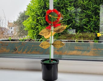 il_340x270.6758499747_ypua.jpg
