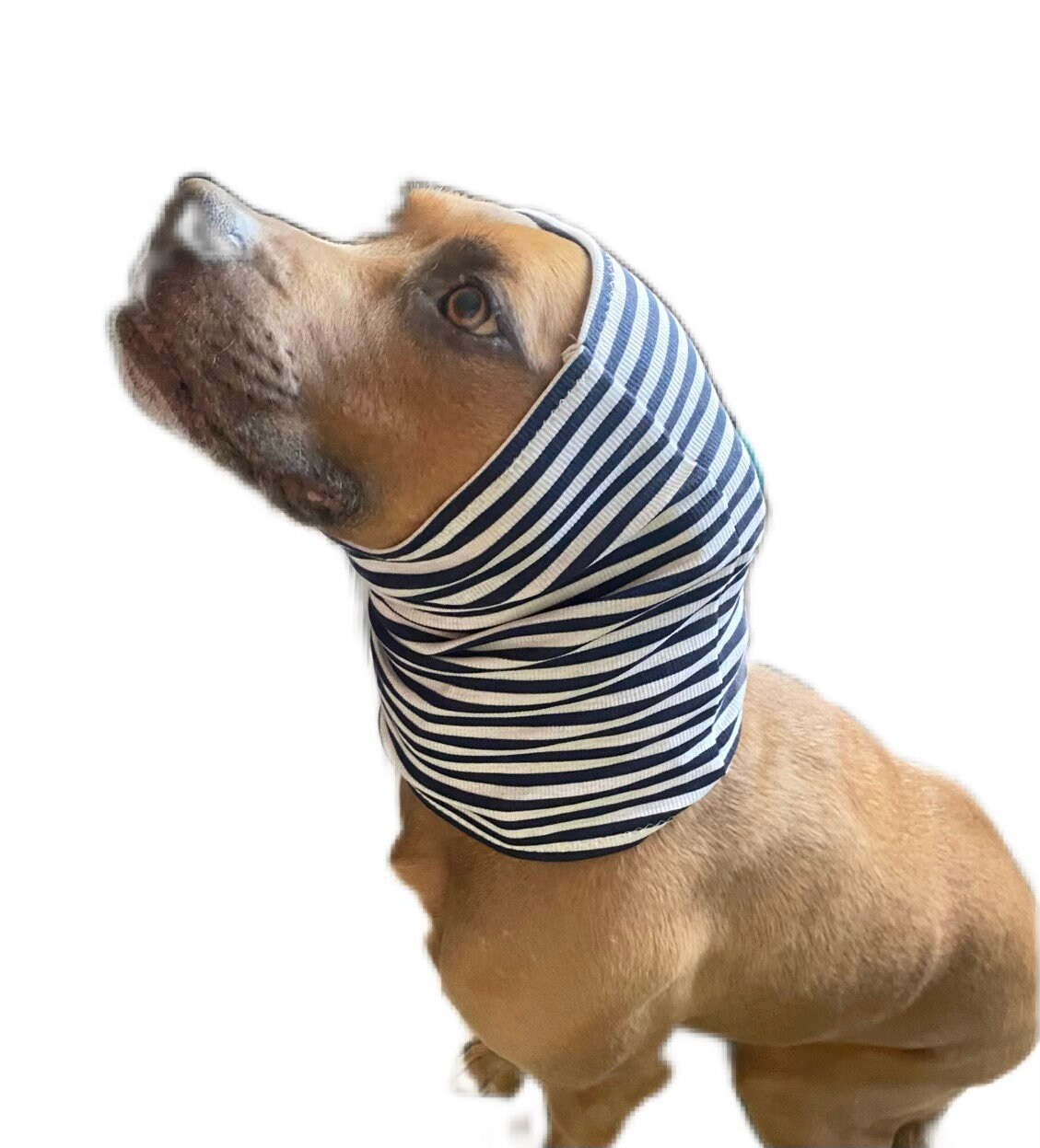 4 Size Dog Neck Warmer/snood, Pdf Digital Pattern, A4 Format Instant