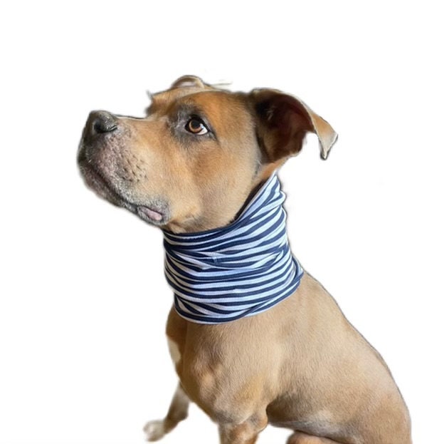 4 Size Dog Neck Warmer/snood, Pdf Digital Pattern, A4 Format Instant