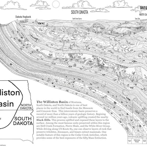 Puede incluir: Una ilustración en blanco y negro de la Cuenca de Williston, una formación geológica en Montana, Dakota del Norte y Dakota del Sur. La ilustración muestra las diferentes capas de roca que componen la cuenca, así como los diferentes fósiles que se han encontrado allí. El texto "Stratigraphy of the Williston Basin & Black Hills" está en la parte superior de la imagen.