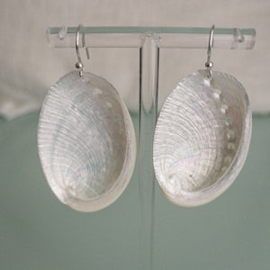 Seashell Earrings White Opalescent Shells on Sterling Silver Earrings, beach mermaid jewelry, tropical boho statement earrings