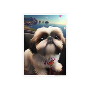 Pôster Shih Tzu