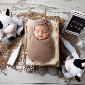 milk, cows, farm, farm life, newborn digital backdrop, newborn digital background, photography prop, digital backdrop
