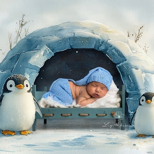 May include: A newborn baby wearing a blue knitted hat and matching pants sleeps on a bed inside an igloo. Two penguin stuffed animals stand on either side of the bed.