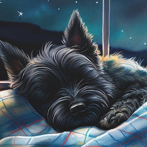 Sleeping Scottish Terrier Canvas Print | Scottish Terrier Nursery Wall Art | Scottie Gift | Scottie Dog | Ready to Hang
