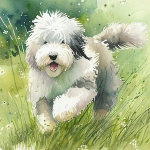 Old English Sheepdog Watercolor Canvas Print | Sheepdog Gift | Ready to Hang