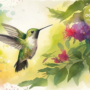 Kolibri Aquarell | Atemberaubende druckbare Kunst
