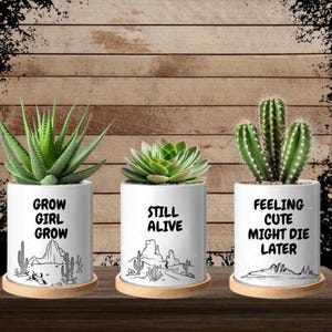 May include: Three white ceramic planters with wooden bases, each featuring a different cactus or succulent plant and a humorous saying. The first planter says "Grow Girl Grow", the second says "Still Alive", and the third says "Feeling Cute Might Die Later".