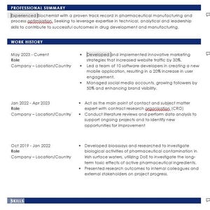 Professional CV