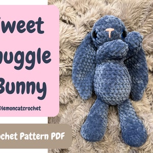 Sweet Snuggle Bunny Amigurumi Crochet Pattern