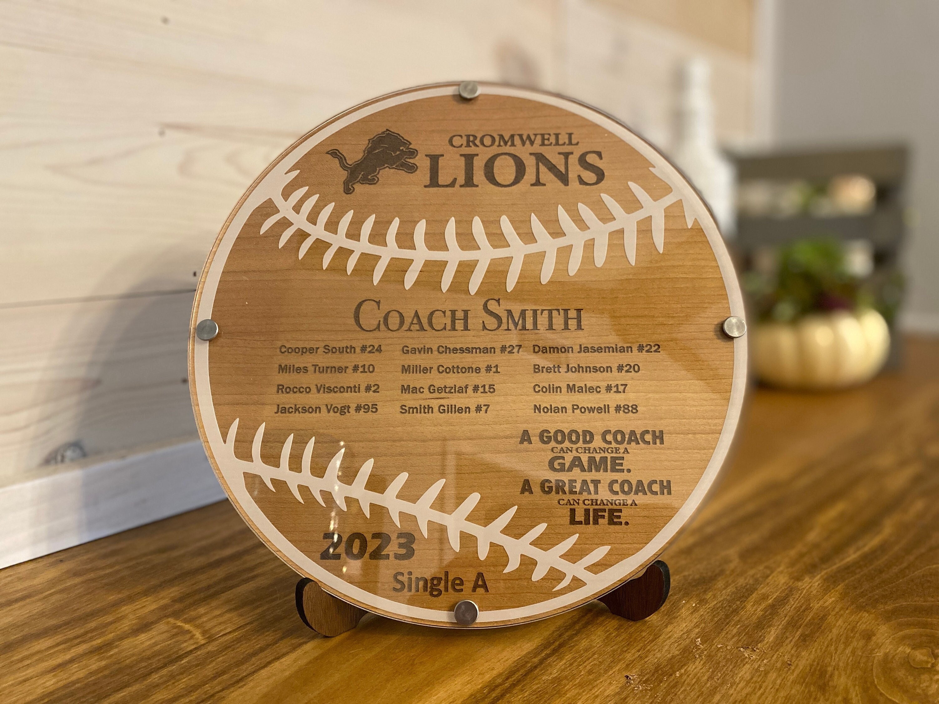 Custom Baseball Coach Gift Wood and Acrylic Plaque, A Good Coach Can Change a Game, End of Season Gift
