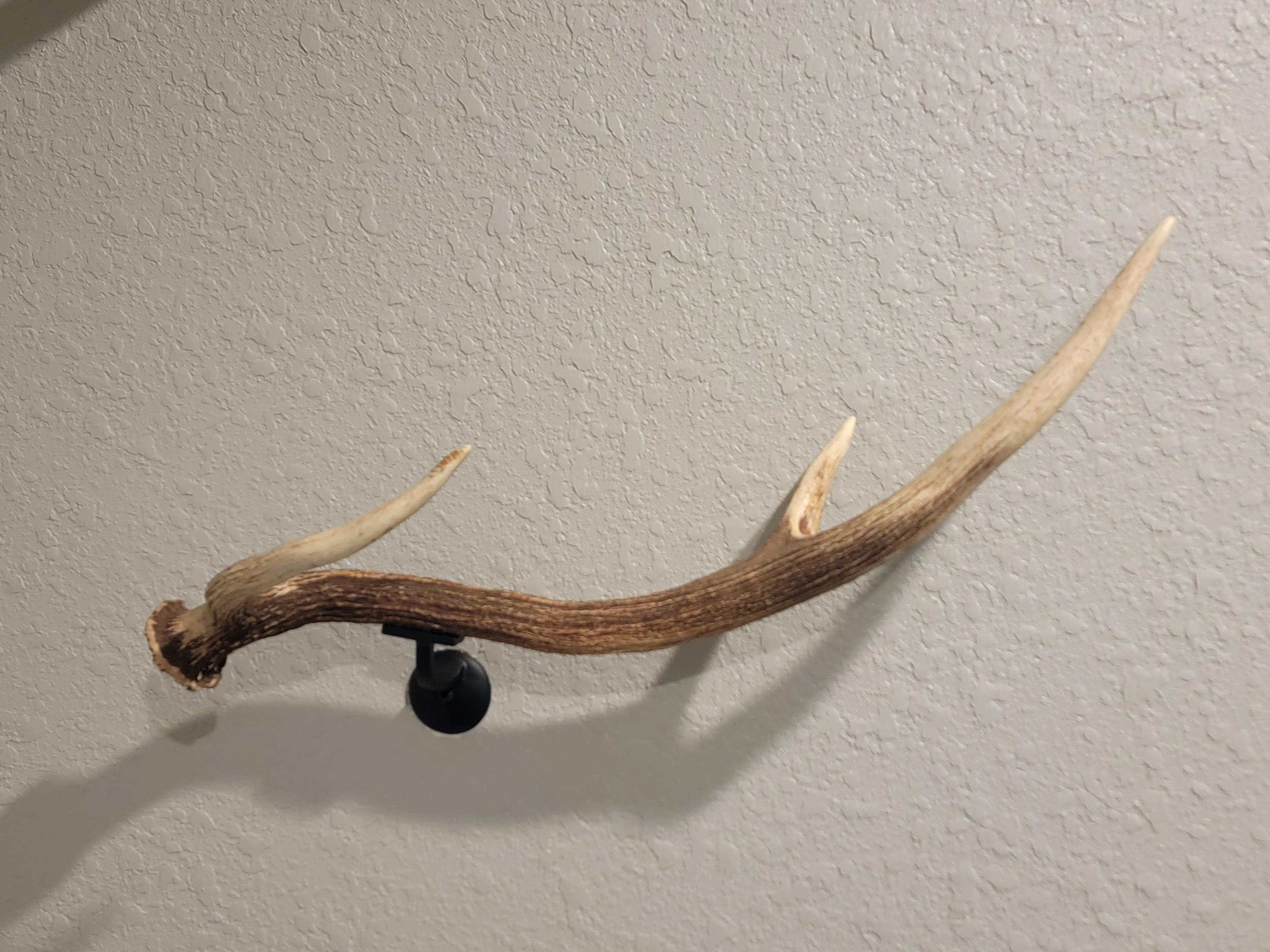 Custom Axis Deer Antler Towel Bar: Rustic Home Decor (20-26