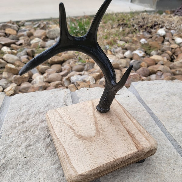 Metalized Elevated Whitetail Antler jewelry / ring holder (Darkened Iron-Black) RUSTIC boho authentic 6"x6"