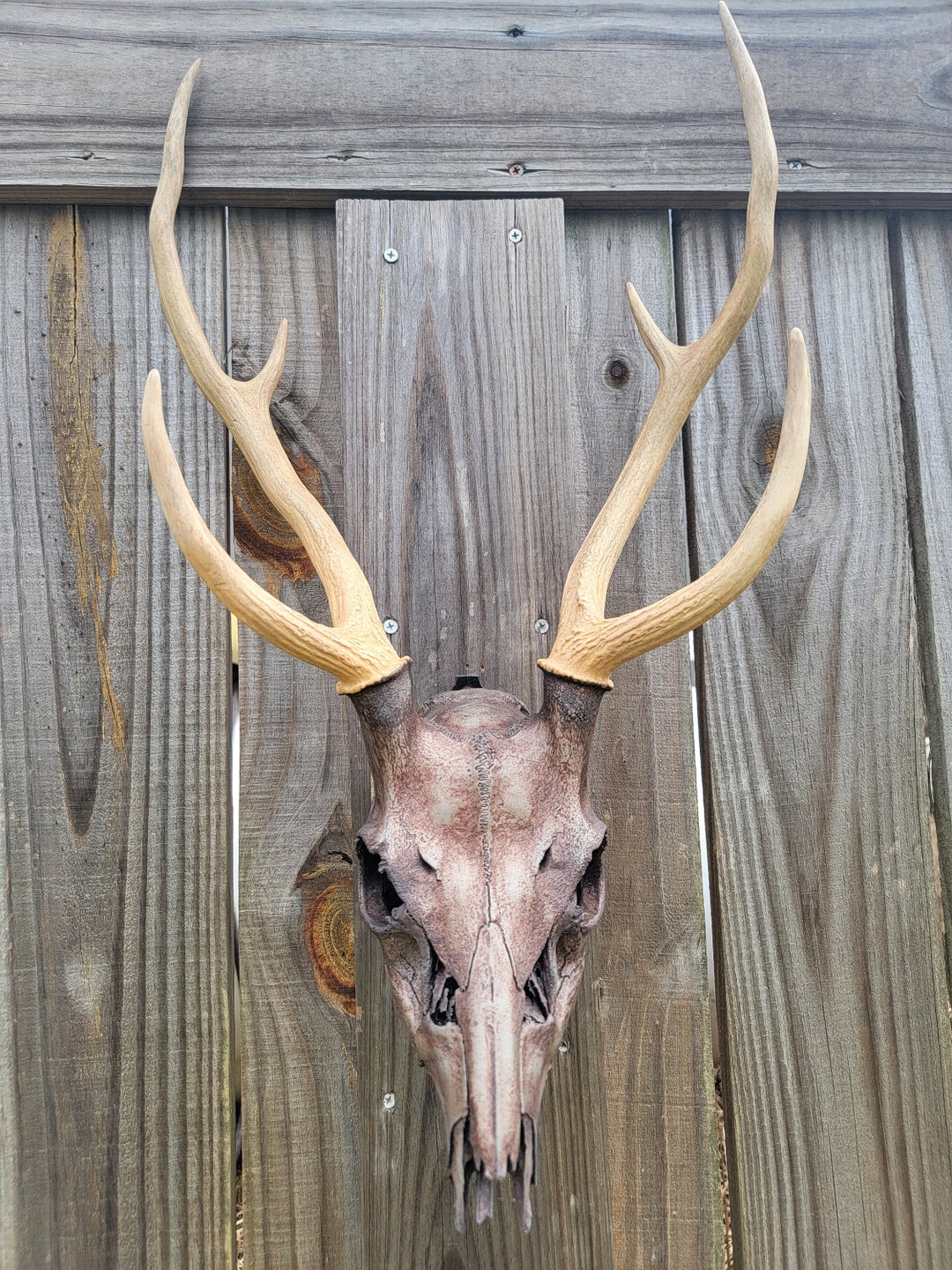 Metalized Axis Deer Skull Mount: Aged Pewter Antlers, Taxidermy