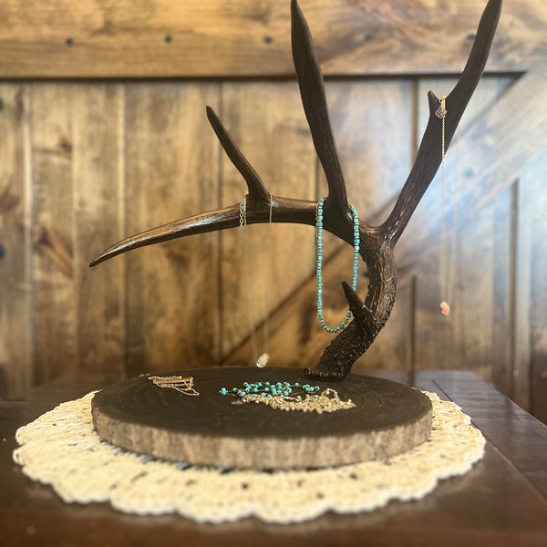 LARGE Bronzed Whitetail Deer Antler Jewelry display / holder - Custom Metalized Bronze finish TAXIDERMY