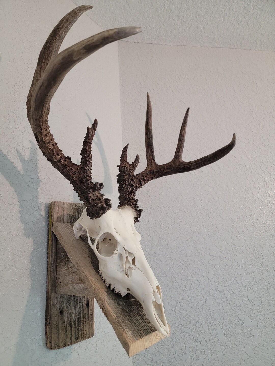 Deer Skull Mounting Kit With American Flag Design - European Mount Plaque For Antlers Display